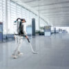Backpack Vacuum Cleaner XGT | VC011GZ - Image 2